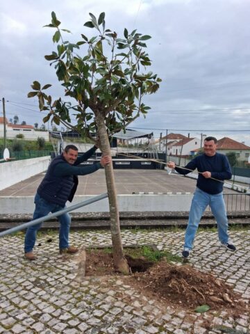 Dia da Árvore 2026