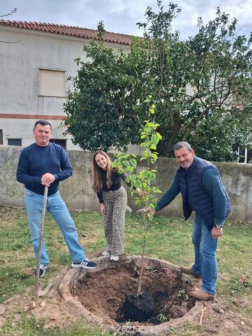 Dia da Árvore 2026